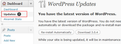Wordpress plugin update notice