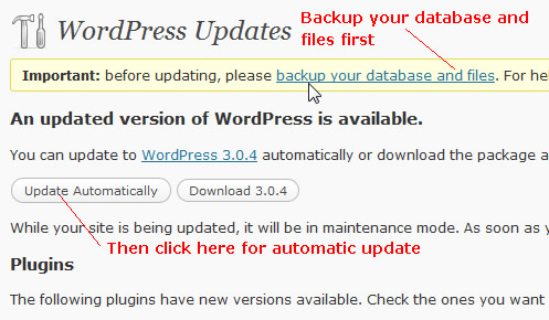 update wordpress automatically