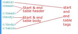 Basic Table Structure in HTML