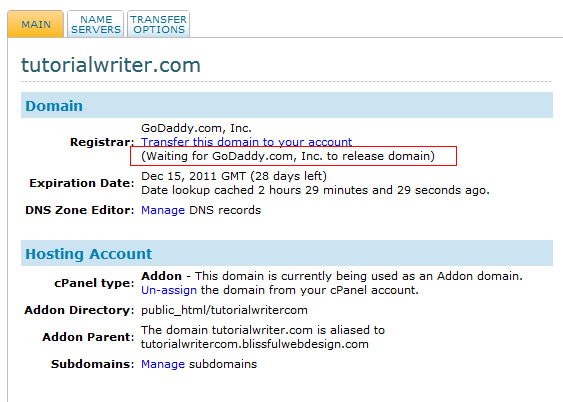 domain name transfer status
