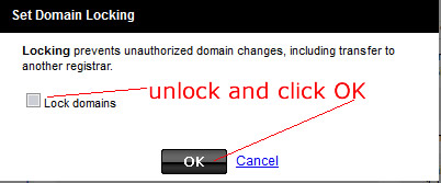 unlock domain name