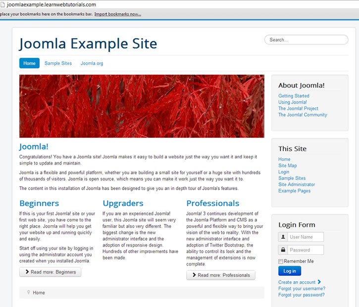 Joomla Example Site